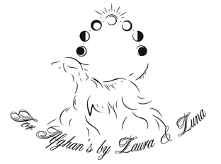 Luna Snoods logo
