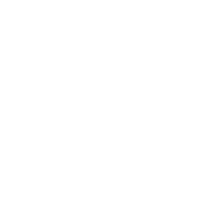 Caribana Business Solutions logo