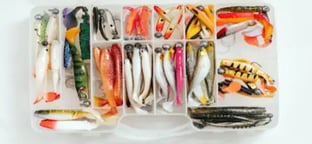 key-west-fishing-guide