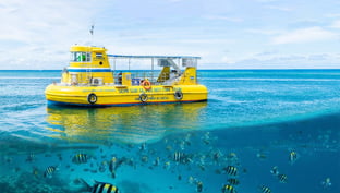 Roatan glass bottom boat