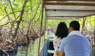 Mangrove channels roatan