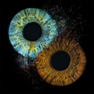 a-eye gallery