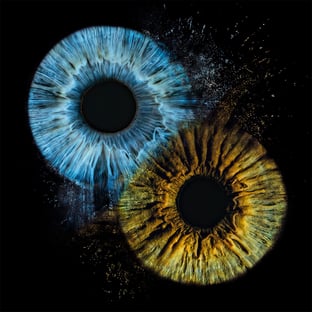 a-eye.pl