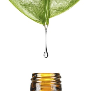 oil-infusion