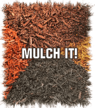 Mulch