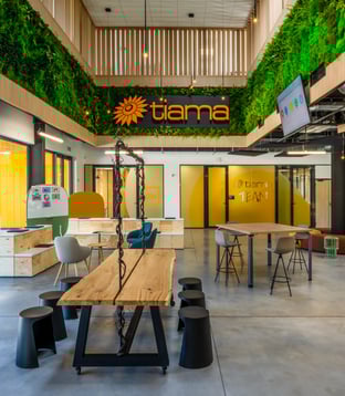 Tiama cbd - Lyon