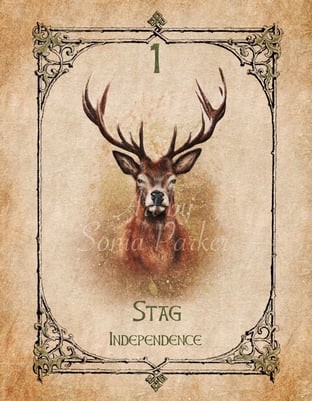 Stag, a card from the animal spirit oracle deck Authors: Bruce Clifton, Sonia Parker