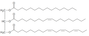 Transestérification - triacylglycérol