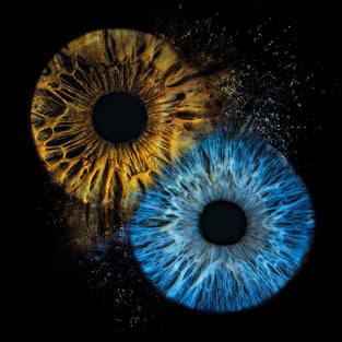 a-eye gallery