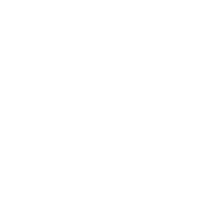 Synergie Holistique logo