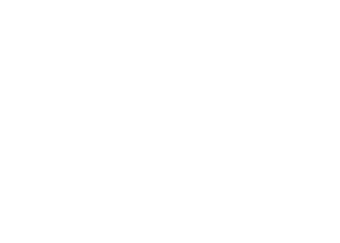 Punk Town logo