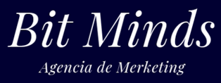 Bit Minds logo