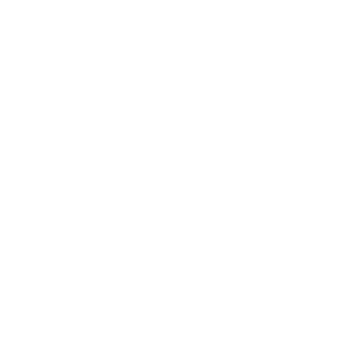 Mainz team logo