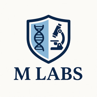 M Labs logo