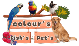 Colour's Fish's & Pet's logo