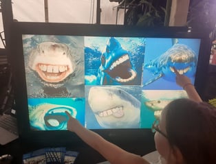 une petite fille qui regarde des requins rigolos