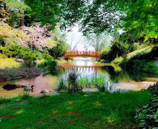 Oregon Coast -Coos Bay Mingus Park, Japanese footbridge over a creek