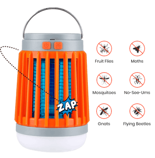Zap Guardian