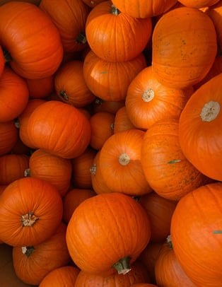 zucche Halloween
