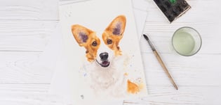 peinture réaliste de chien corgi posée sur une table