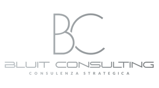 logo bluit consulting