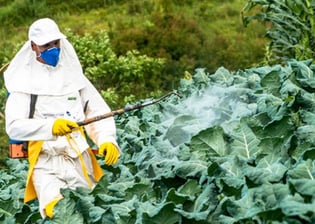 Agrizon provides top-quality pesticides and chemicals, ensuring effective crop protection and health
