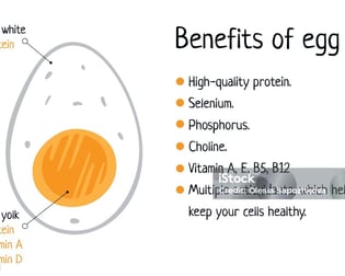 a diagram of a healthy egg egg on a white background