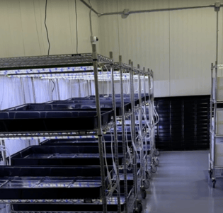 a room with a lot of shelves and shelves