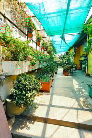 Terrace garden