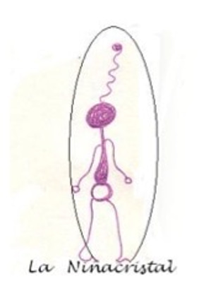 La Niñacristal logo