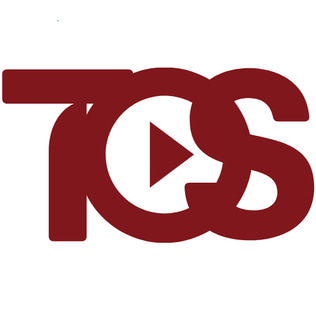 Type One Sport logo