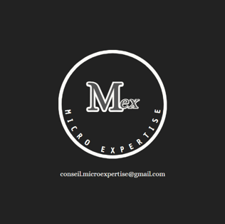 Micro Expertise logo