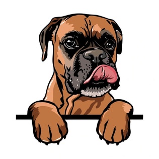 Haven Hope Boxer Puppies logo
