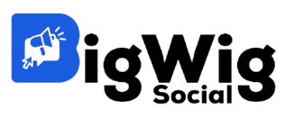 BIGWIG SOCIAL logo