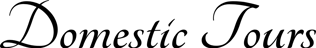 Domestic Tours logo