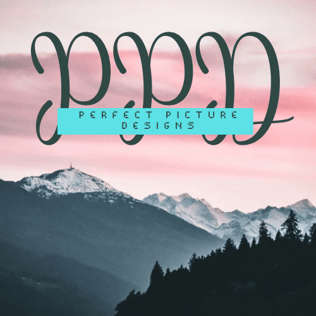 PPD logo