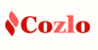 Cozlo Technologies Private Limited logo