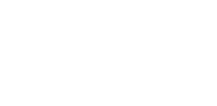 HIDDEN logo