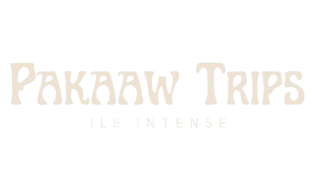 PakaawTrips logo
