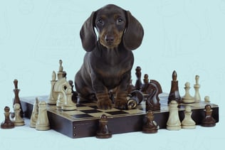 dog games