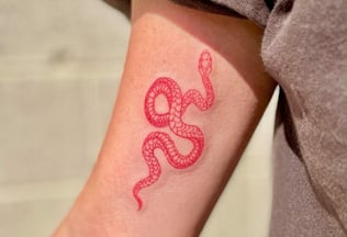 artistic-snake-tattoo-maxduong