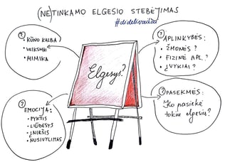 elgesio stebėjimo schema