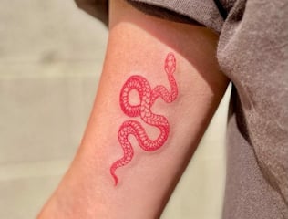 artistic-snake-tattoo-maxduong