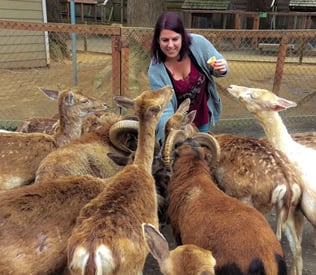Oregon Coast - Feeding the animals at the West Coast Game Park Safari