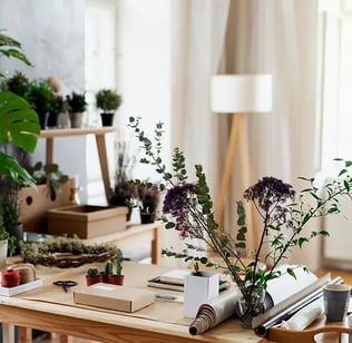 office with plants