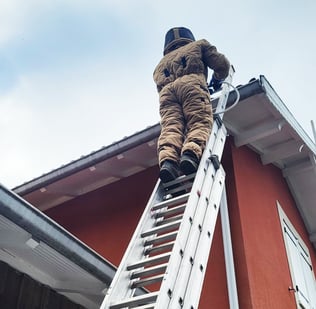 professionnel exterminateur frelon et guêpe au Taillan Médoc