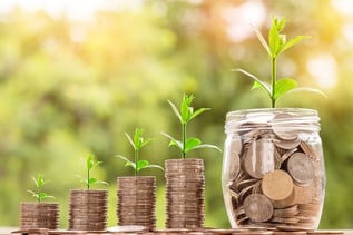 faire fructifier ses impôts