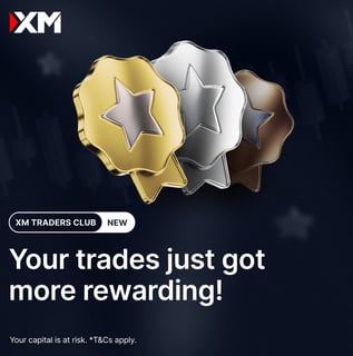 xm traders club