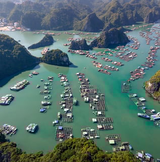 a large amount of boats are in the water