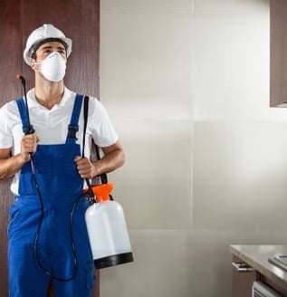 technicien qui fait une désinsectisation a Nice